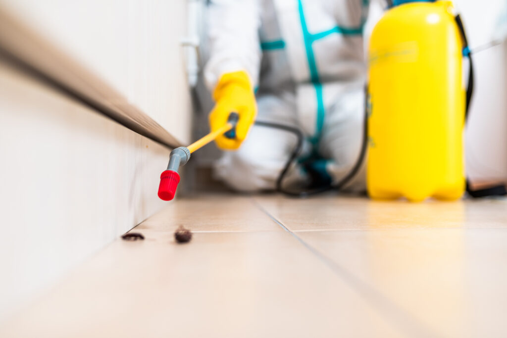 Weatherford Cockroach Experts