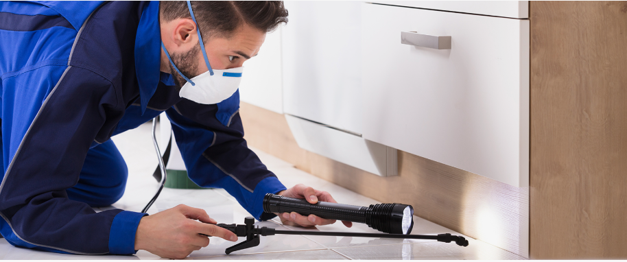 Weatherford pest xpert removal