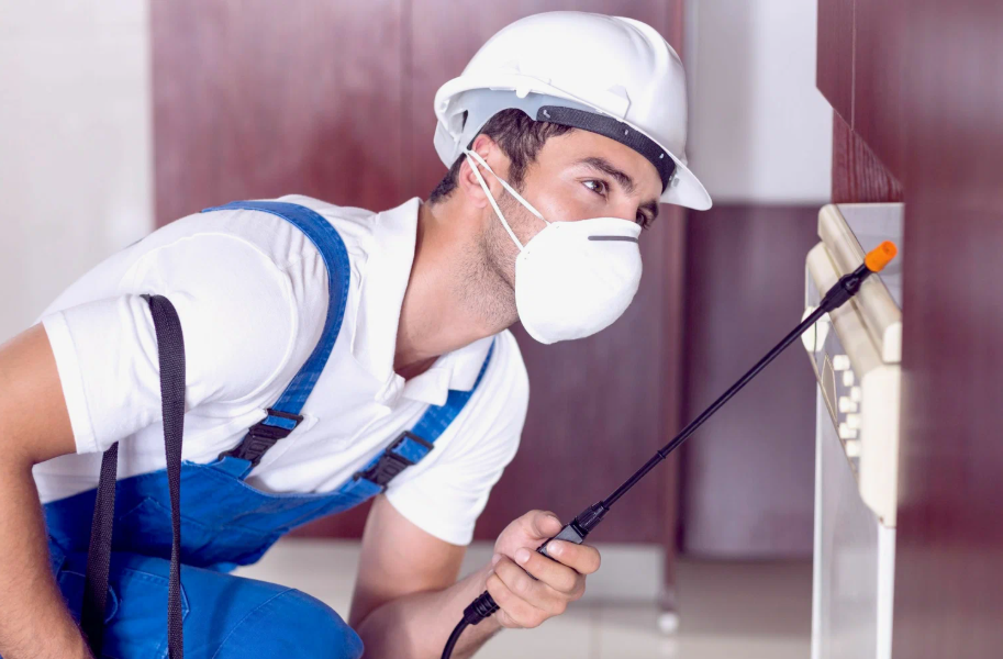 Weatherford local pest services